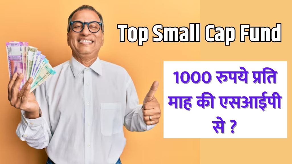 Top Small Cap Fund