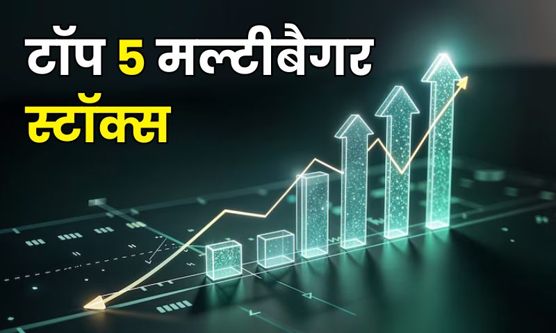 Read more about the article पिछले 1 साल के टॉप 5 मल्टीबैगर स्टॉक्स