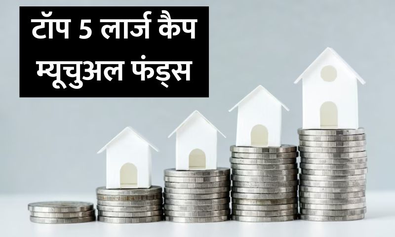 You are currently viewing टॉप 5 लार्ज कैप म्यूचुअल फंड्स (5 साल में बेहतरीन रिटर्न)